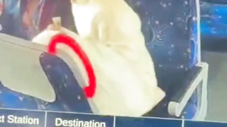 Viral Delhi Meerut Train leaked couple