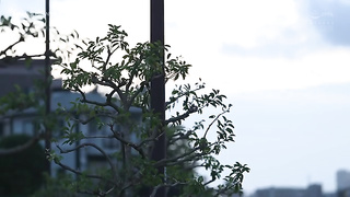 [SAME-202] I can’t forget the hip thrusts of that man I despise who raped me… Onosaka Yuika