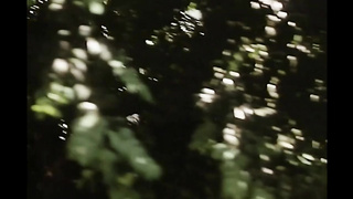 Special Hospital Services (France 1979, France Lomay) (720)