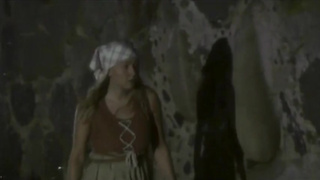 swedish porn 28132 (480) 2 video