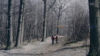 Classic Vintage 13836 (720)