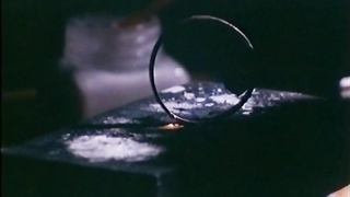 Vintage Retro 29269 (480)