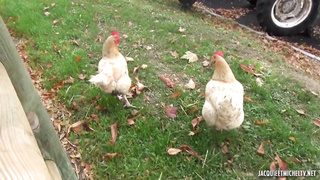 French Gwendoline (1080)