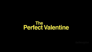 Meagan Moore - The Perfect Valentine (15.02.2026) rq