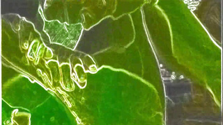 ANOTHER HOT CARTOON VIDEO