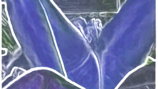 MORE HOT CARTOON VIDEOS