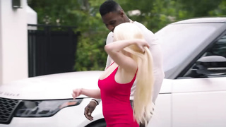 absolute busty champions