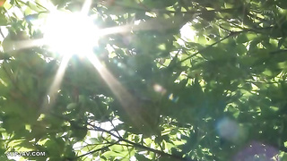 [ATID-377] Siren Silent Fuck Silence At Climax Iroha Natsume