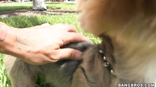 Ava Addams, BTRA MILF Soup, Goes out with a Bang