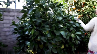 Don’t be a Fucking Whimp! Make Mommy Cum NOW! (Connie Perignon