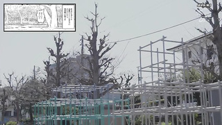 [NIMA-072] Sex life with little sister at the family home and love hotel – Nami Nami 2 video