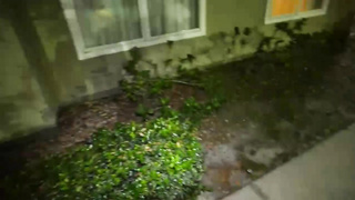 College Student Goes To The Wrong Dorm