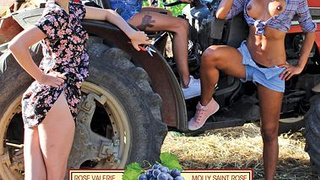 La Saison des Vendanges (2017)