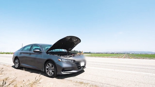 Transexual Hitchhikers - Aubrey Kate, Avery Lust, Haven Rose & Kasey Kei