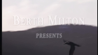 Virgin Treasures (1994) (1080)