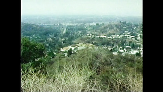 Bad Dad (USA 1975, Kay Louis, Penny Burke) (720) 2 video