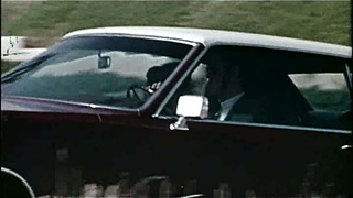 Neighbourly Affections (USA 1971, Rene Bond, Tricia Opal) (720)