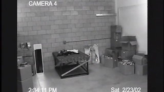 Brandy Starz doble penetración