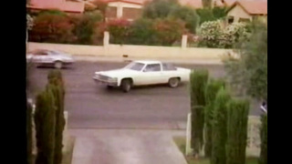 Sexy Girl Detective (USA 1983, Erica Boyer, Lisa De Leeuw) (720)