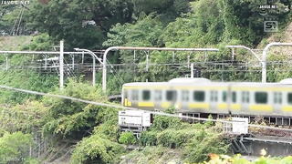 [PFES-133] Newly arrived Tokyo student gets groped nonstop on train commutes and falls head over hee