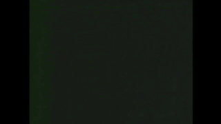 Apocalypse Porn (USA, Bridgette Monet, Kayla Kleevage) (720) 2 video