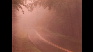 The Insatiable Blairs (USA 1983, Honey Wilder, Sharon Mitchell) (720)