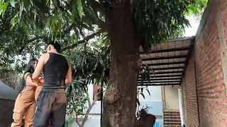 Pille a mi vecina Colombiana robándome los mangos