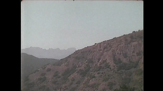 Farm Trouble (USA 1997, Toni James, Chloe) (720) 2 video