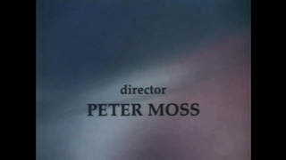 The Sex Trap (USA 1987, Ginger Lynn, Lisa Deleeuw) (720)