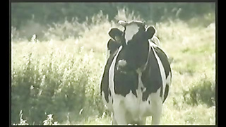 Claudias Sommarlov (2001) (480)