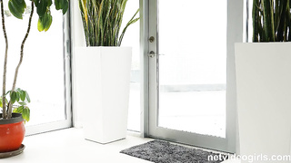 Netgirl netvideogirls CCHD