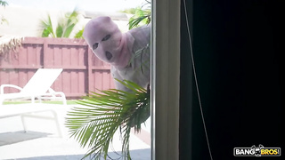 Free Porn 2026.04.13 Sinatra Monroe XXX