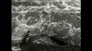 IN THE DAYS OF WHORE (720)