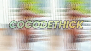 Brickzilla & Coco DeThick