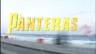 O Sindico - As Panteras