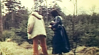 Wildlife Encounters (8x 1970s German And Danish Loops) (480) 2 video