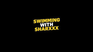 Belle O'Hara - Swimming With Sharxxx (07.05.2026) rq