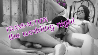 Ariel Demure TRANS-ACTION the wedding night