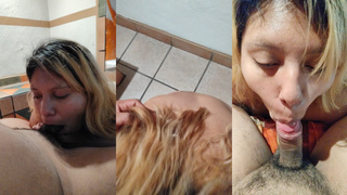 Gordita tragona