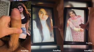 Sumbal Cumtribute 3