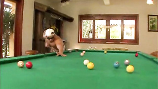 Carol Sampaio é arrombada na mesa de sinuca