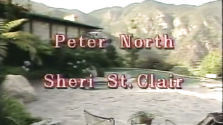 Young and Naughty 1984 - Peter North, Nikki Charm, Paul Thomas