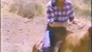 Forbidden Fruit 1984 - Honey Wilder, Candy Shields, Susan Hart, Bunny Bleu, Misty Regan