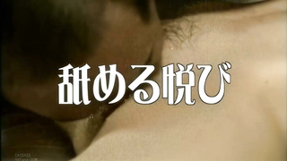 FAX-529 Henry Tsukamoto The joy of loving sex - The joy of licking - The joy of being licked - The j