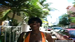 bang bros big tits,round asses - stacy's funbags