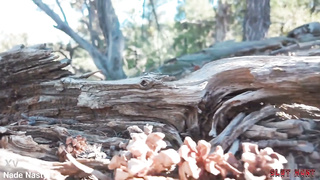 Cazando Putas en el bosque para ser abusadas Sub