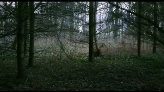 pelicula francesa 2 video