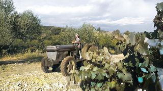 Movie, French - La Saison Des Vendanges Upscaled French - Catalya Mia (720)