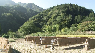 JUX-530 Farmer’s wife. Shinoda Ayumi -