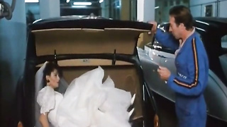 Movie - Mia Moglie Aperta a Tutti (1995)